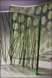 Bear Grass and Roman Coin shown in curved profiles.